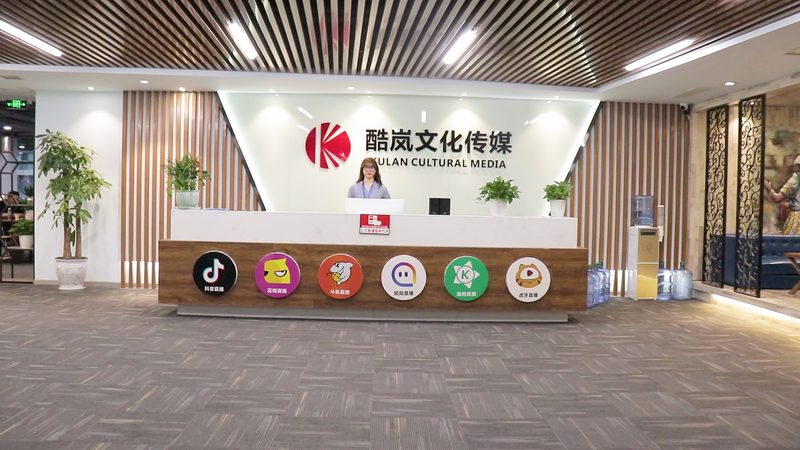 TVC广告片制作公司资质：合规之路上的关键要素