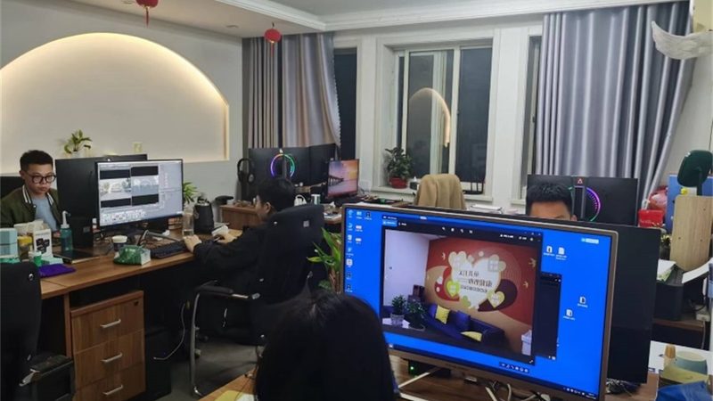 医疗三维动画制作公司：揭秘其优势与潜在风险